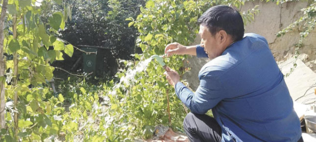 复制图片