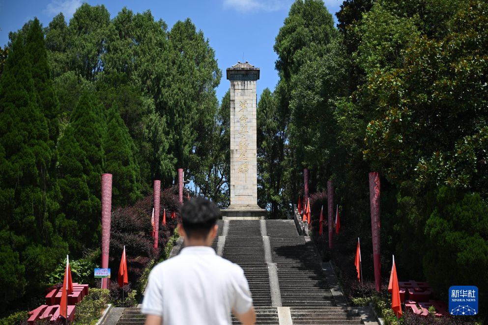 复制图片