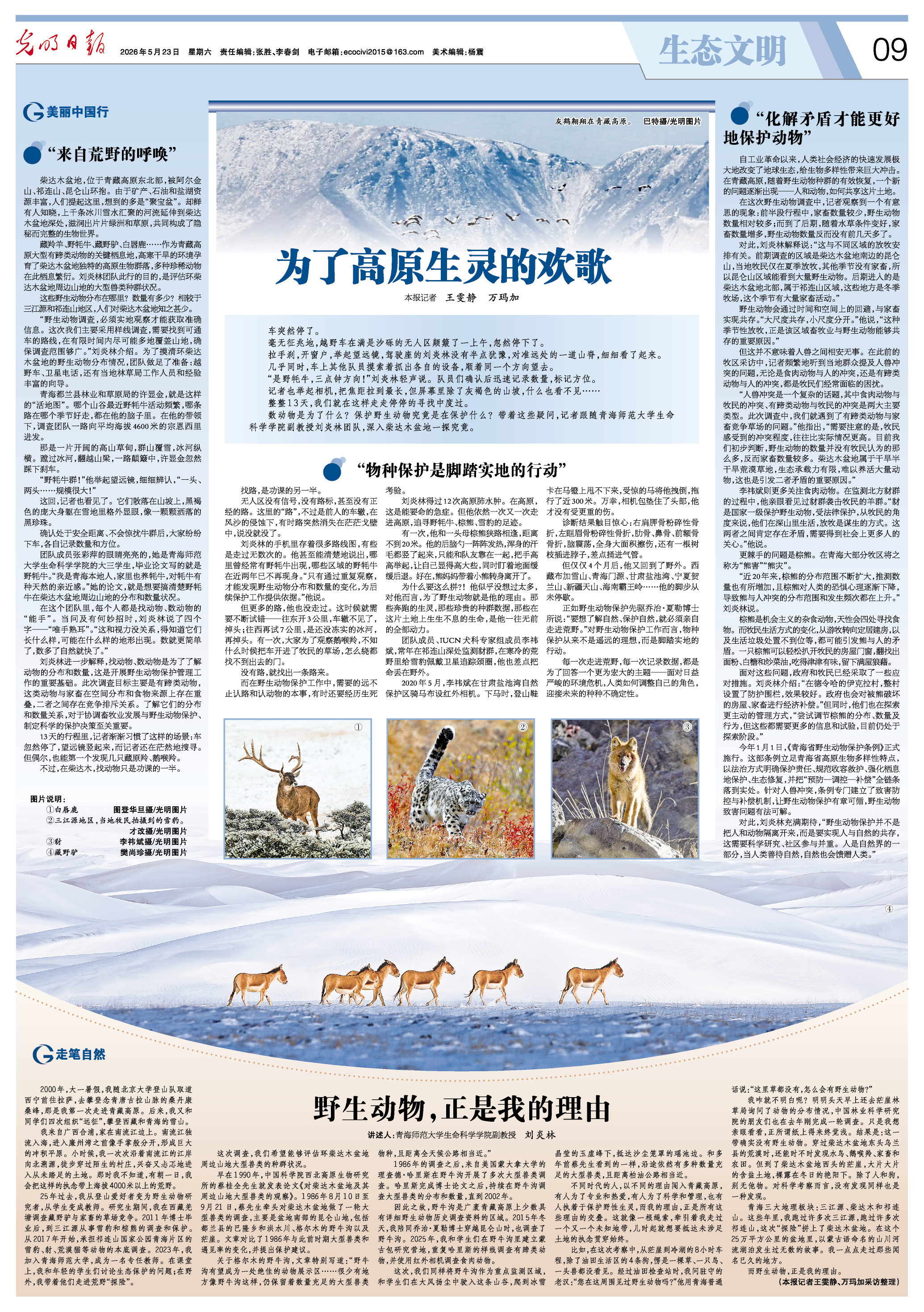 复制图片