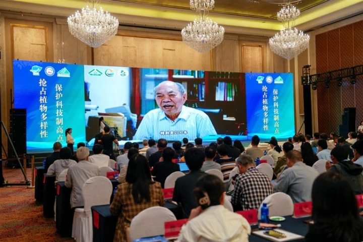 复制图片