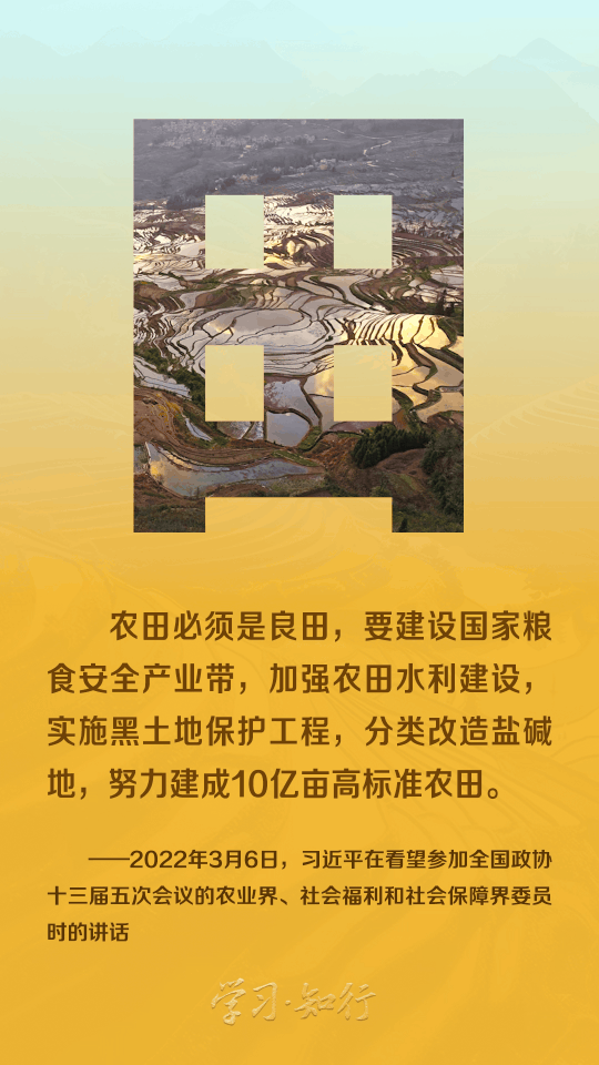 复制图片