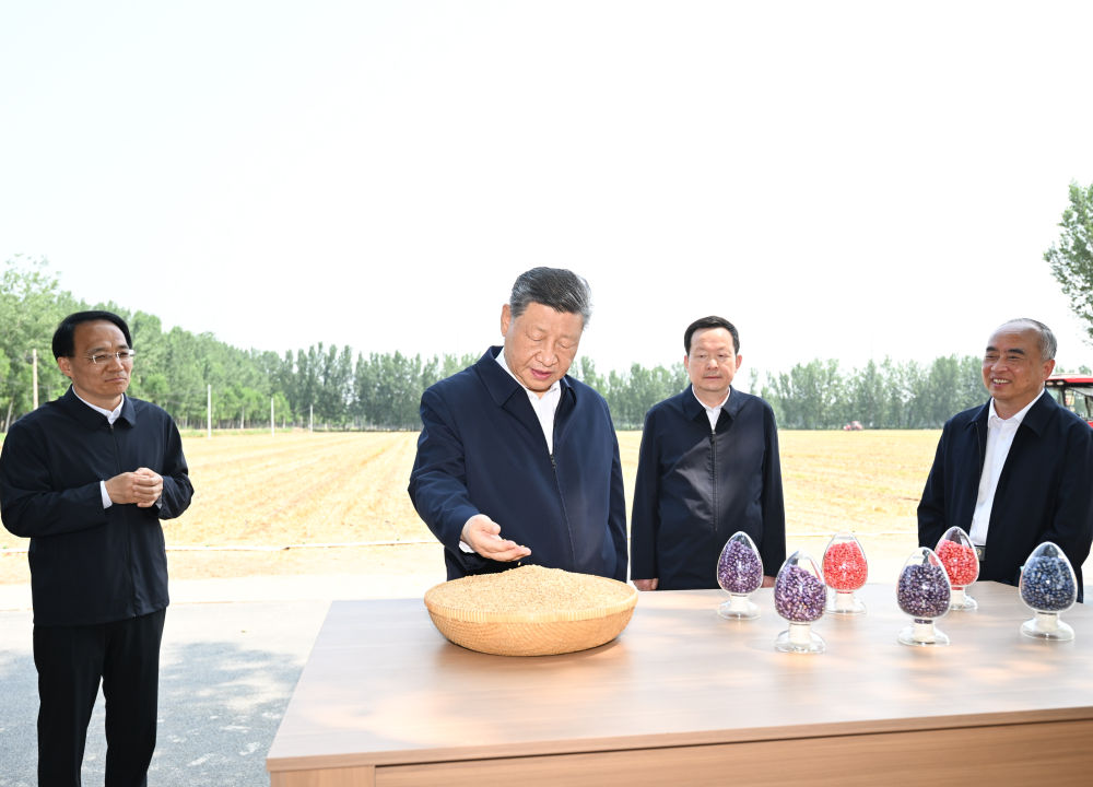 复制图片