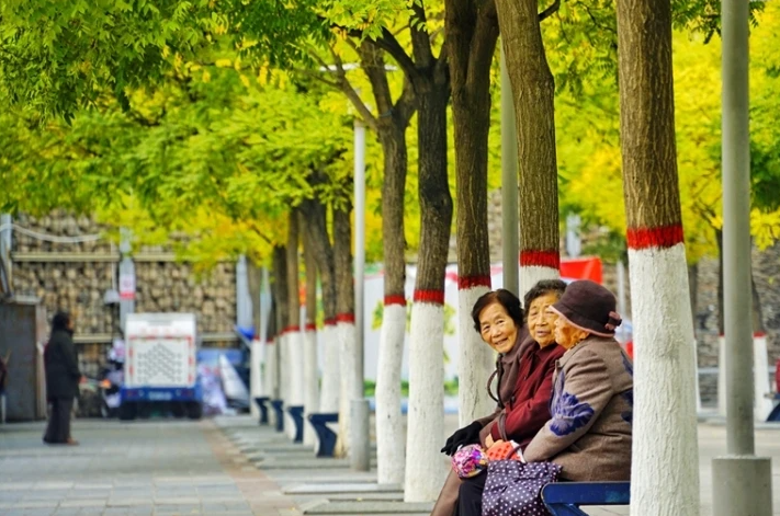 复制图片