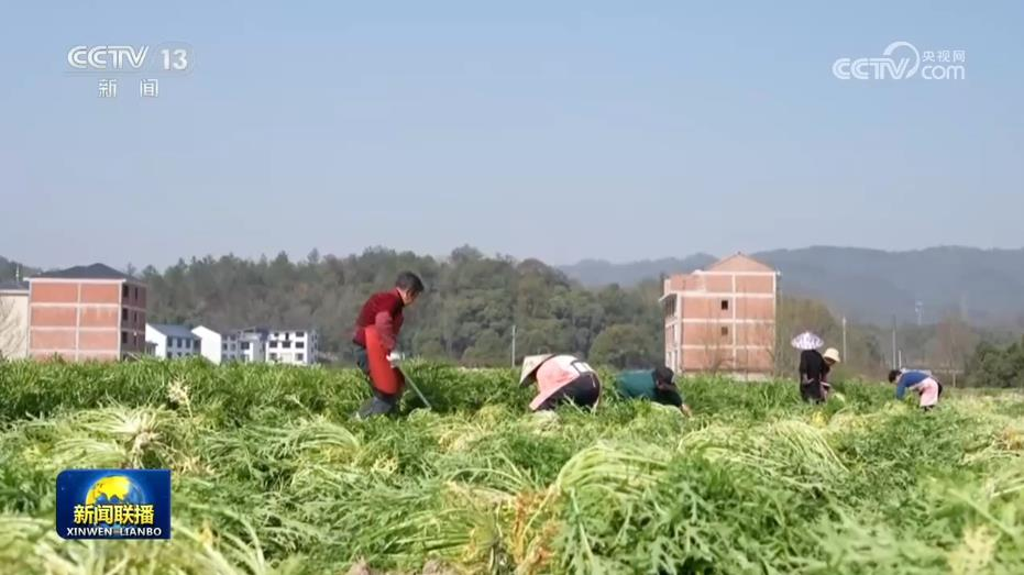 复制图片